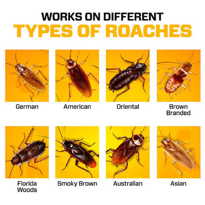 Natural Cockroach Killer for Kitchens, Bathrooms, and Cabinets [Pack of 2]