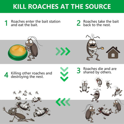 Natural Cockroach Killer for Kitchens, Bathrooms, and Cabinets [Pack of 2]