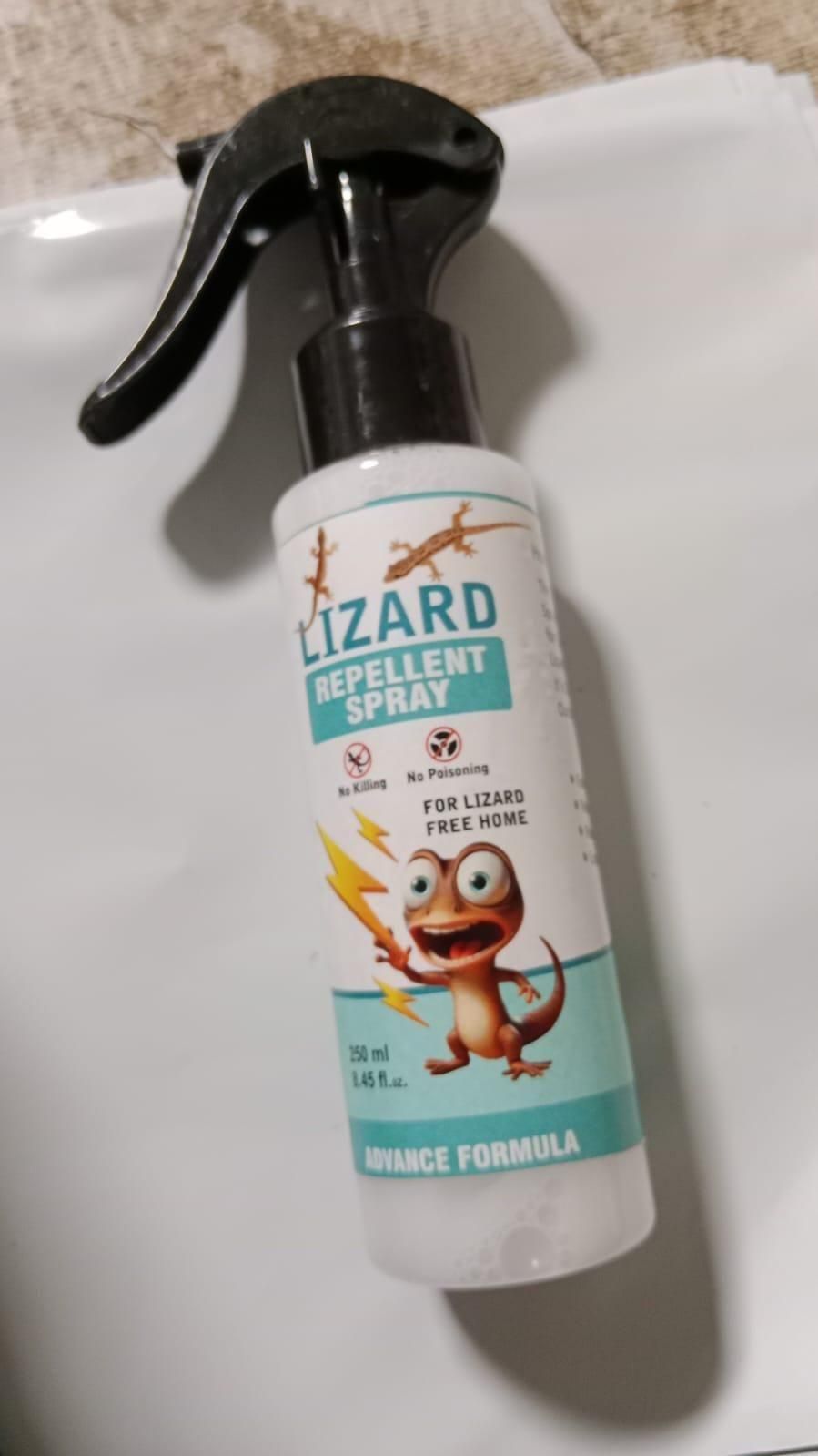 🦎 Lizard Repellent Spray BUY 1 GET 1 FREE
