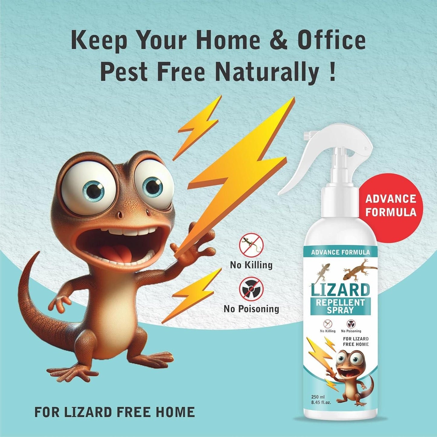 🦎 Lizard Repellent Spray BUY 1 GET 1 FREE